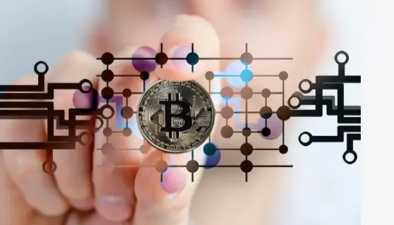 What Is a Crypto Improvement Proposal?
